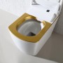 Toilet  golden seat