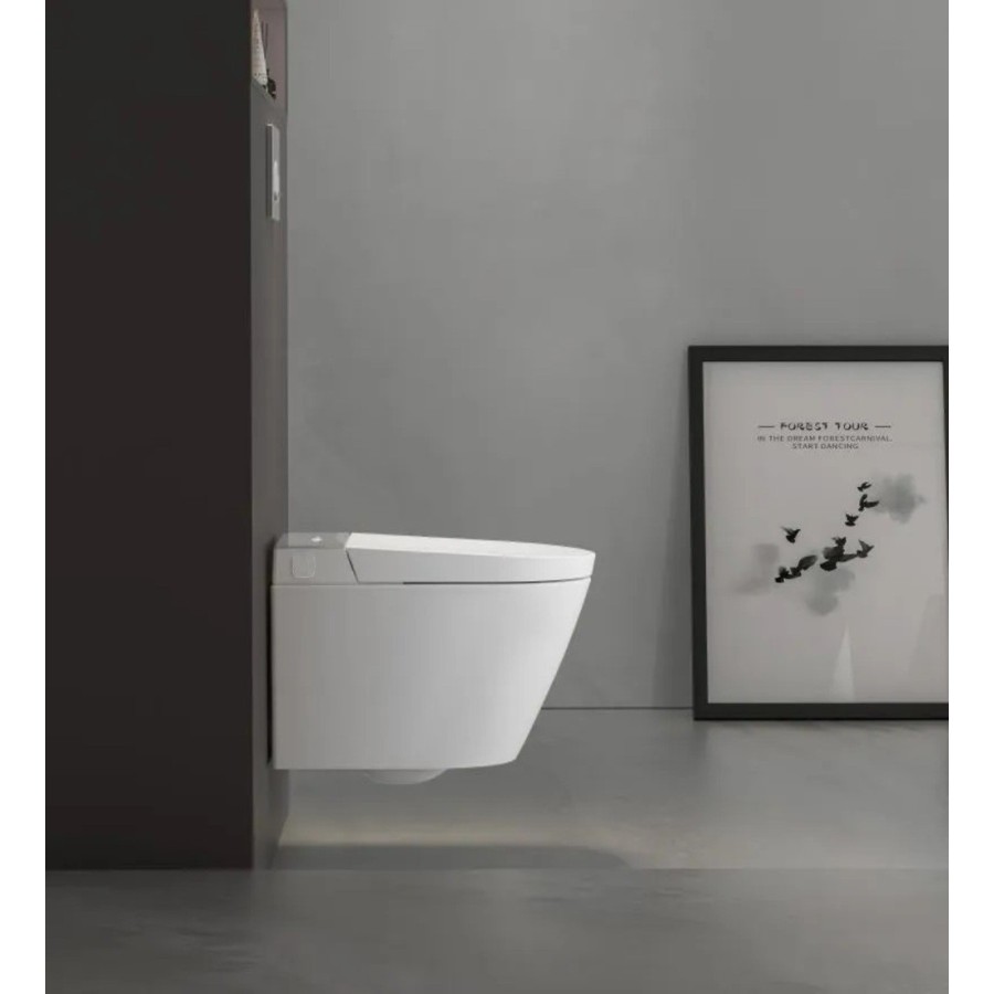 Suspended toilet with frame W230 - Silver keypad