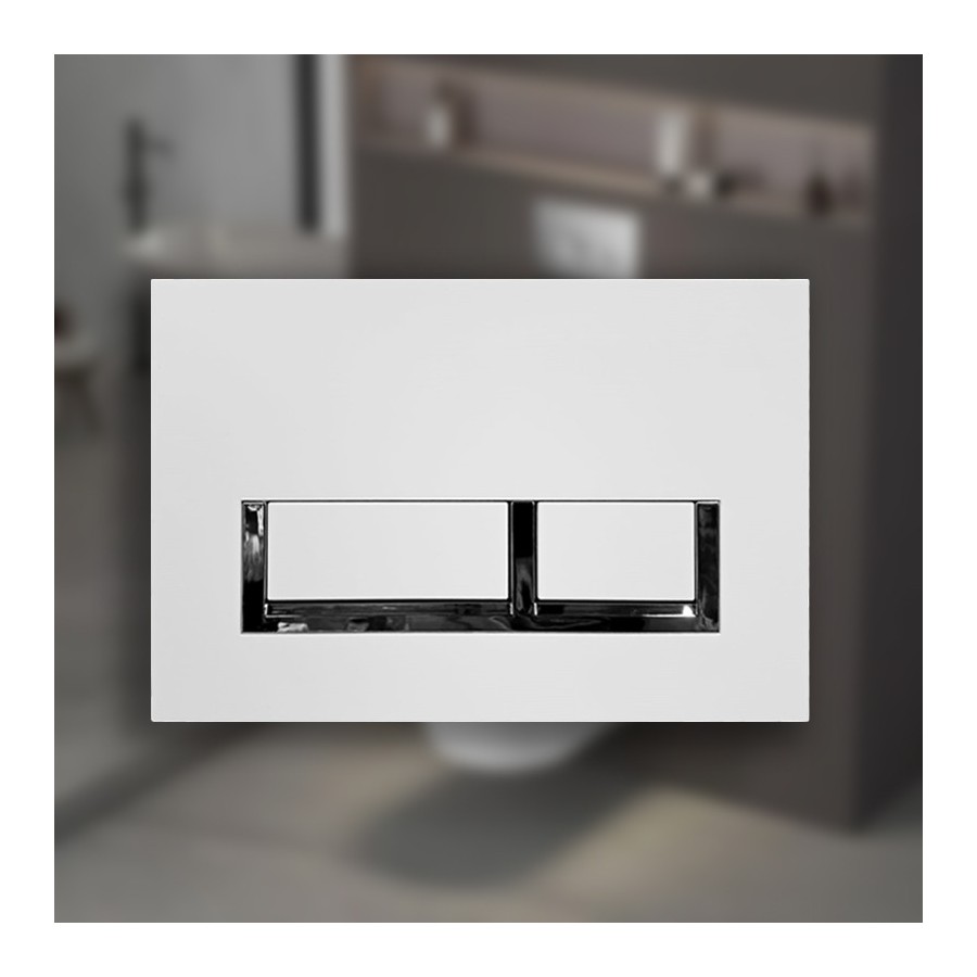 W220 White wall hung toilet with frame