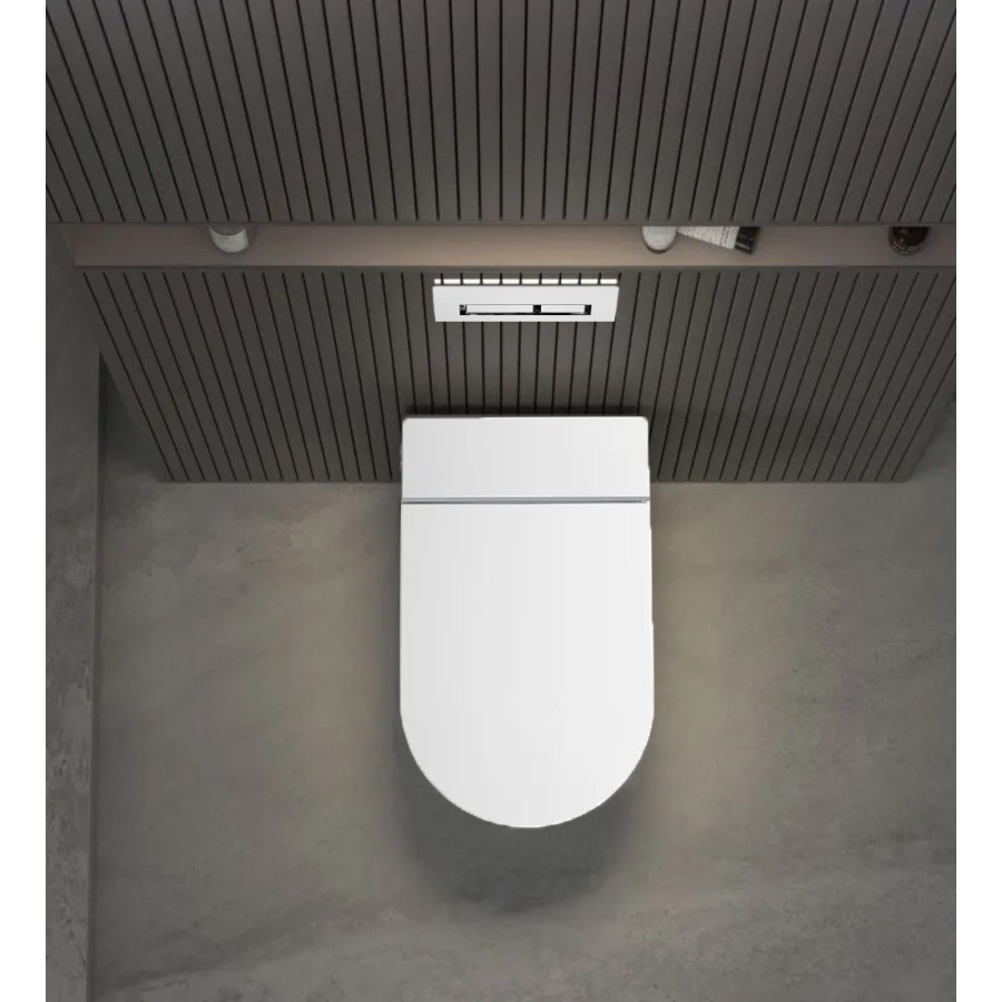 W220 White wall hung toilet with frame