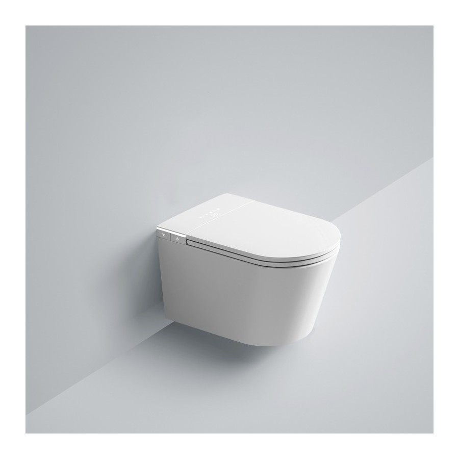 Toilettes japonaises suspendues - W390