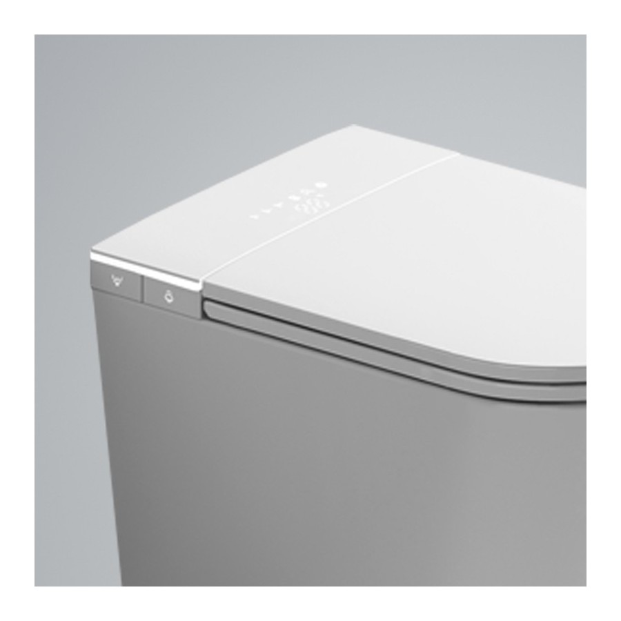 Japanese wall hung toilet - W390