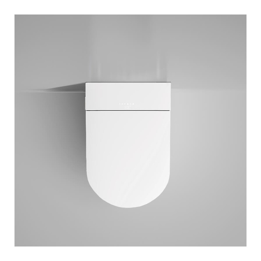 Toilettes japonaises suspendues - W390