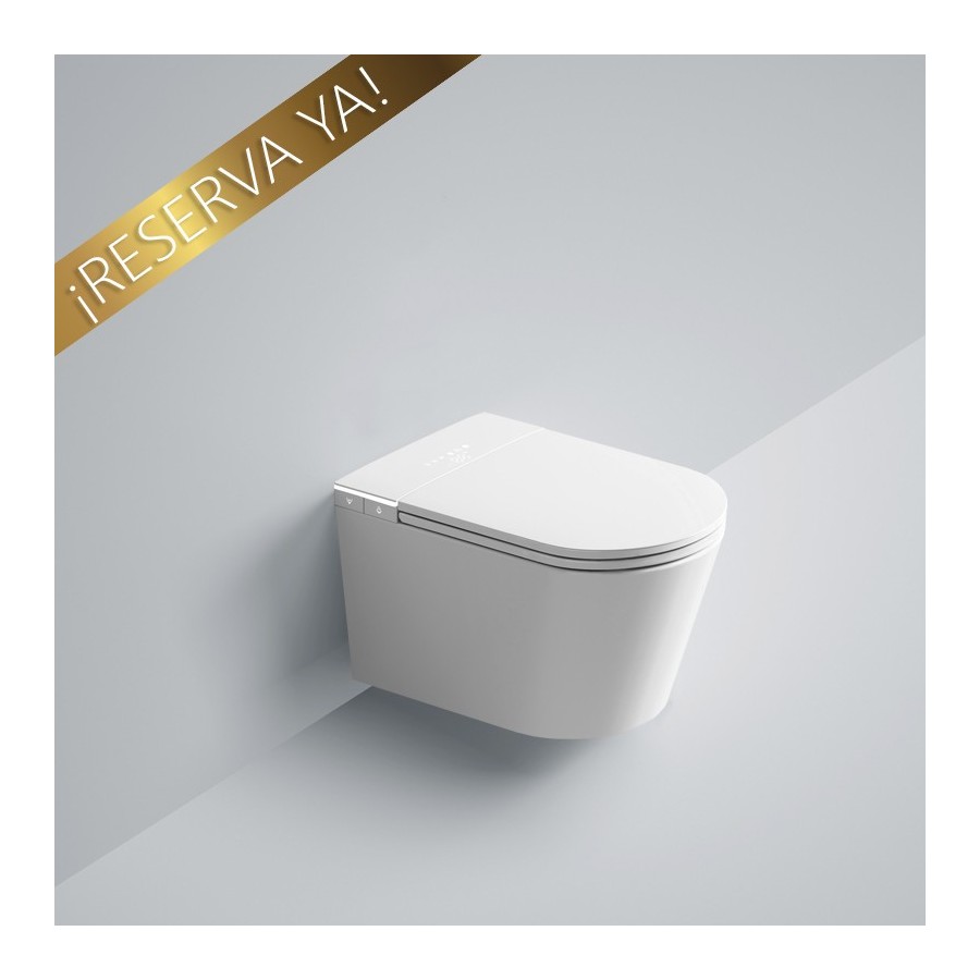 Toilettes japonaises suspendues - W390