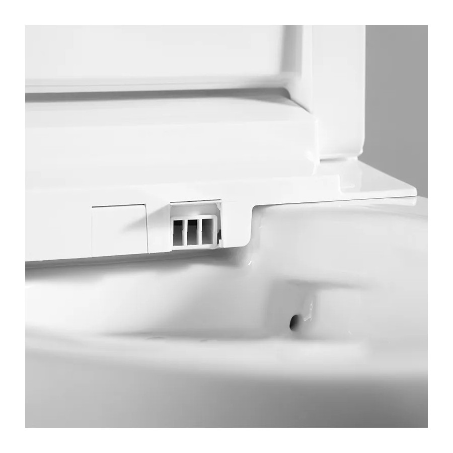 copie de W220  WC suspendu blanc avec cadre