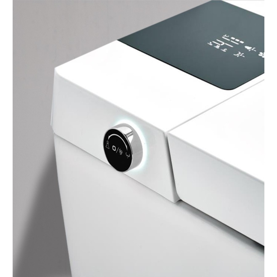 Smart Toilet  STOCK FAIR - A220 (With Tank)