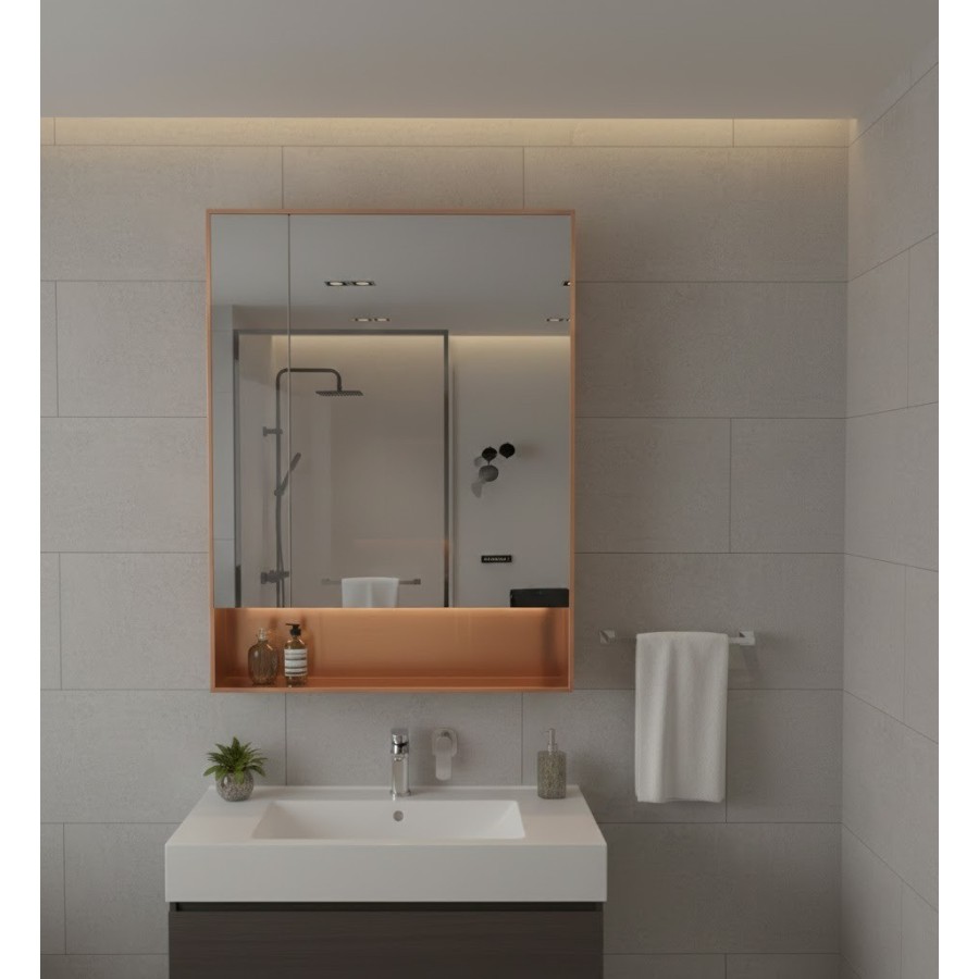 Armoire de miroir de salle de bain intelligente | Miroir avec rangement et LED