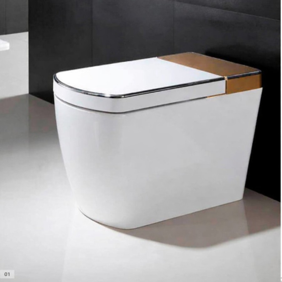 VOGO SL610 - Wc japonais avec pont en or