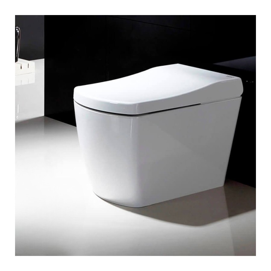 Japanese toilet - S300 (No Tank)
