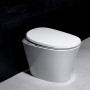 R500 automatic toilet