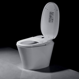 Smart Toilet. El WC que te lava con agua. Inspírate con Chafiras