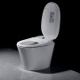 Japanese toilet R500