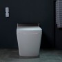 Smart Japanese toilet