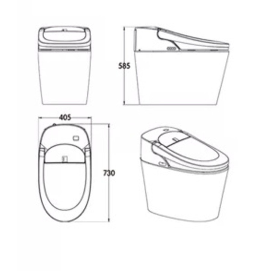 Intelligent toilet - E210 (With Tank)