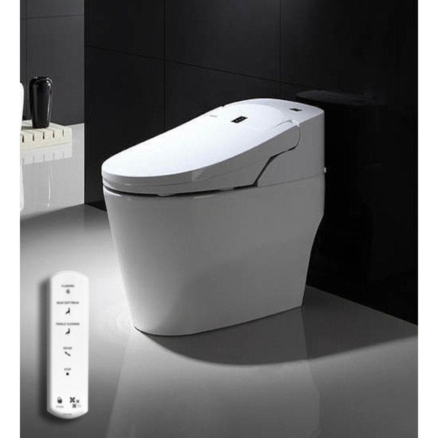 Intelligent toilet - E210 (With Tank)