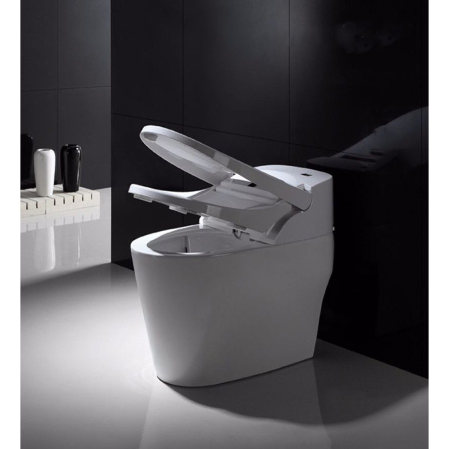 Intelligent toilet - E210 (With Tank)