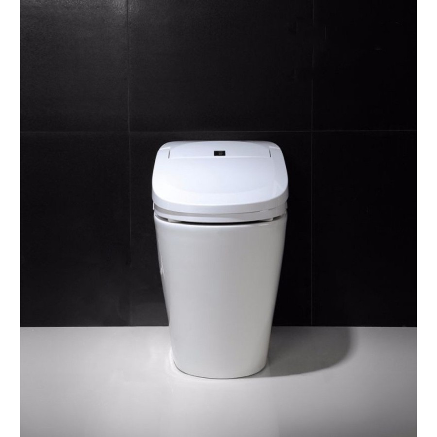 Intelligent toilet - E210 (With Tank)