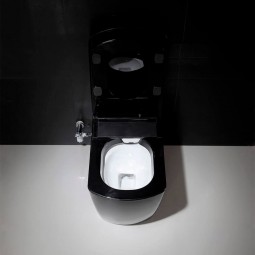automatic toilet
