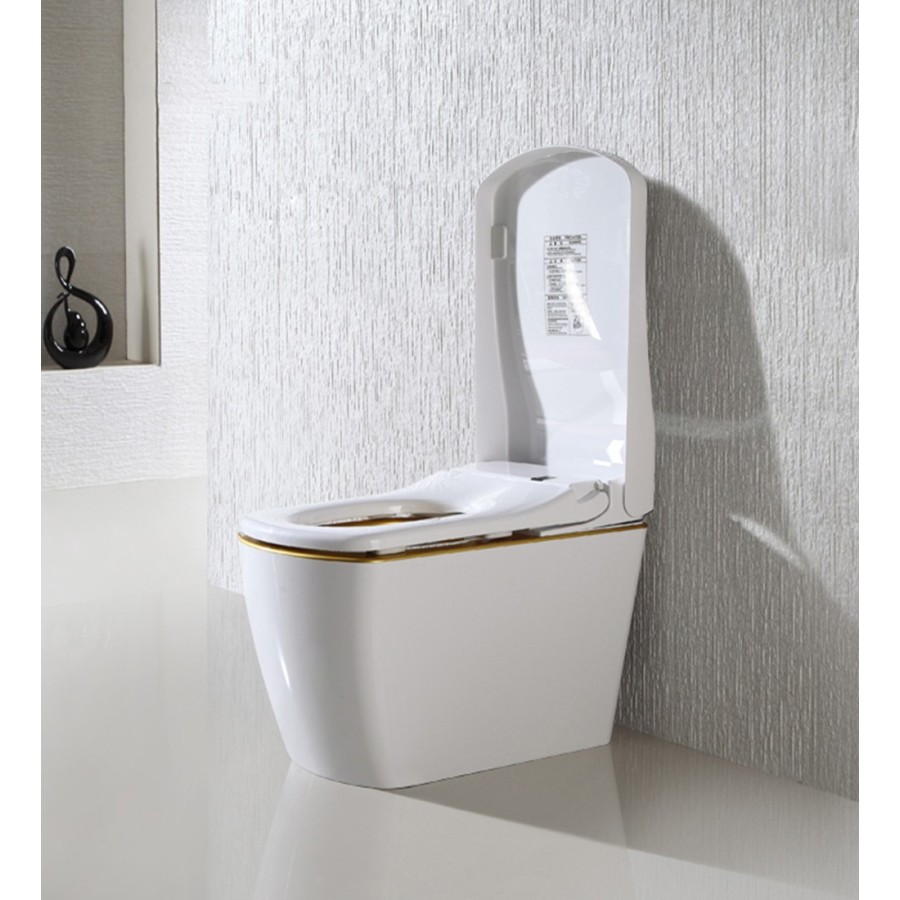 VOGO S310 - Wc de estilo japonés blanco y dorado