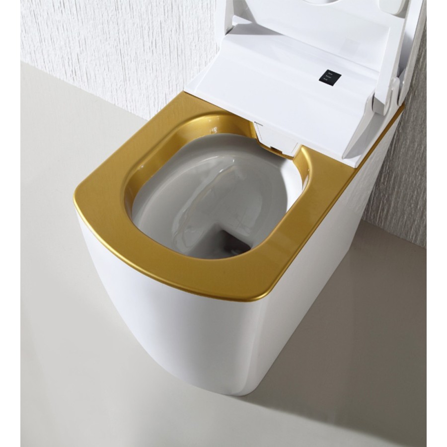 VOGO S310 - Wc de estilo japonés blanco y dorado