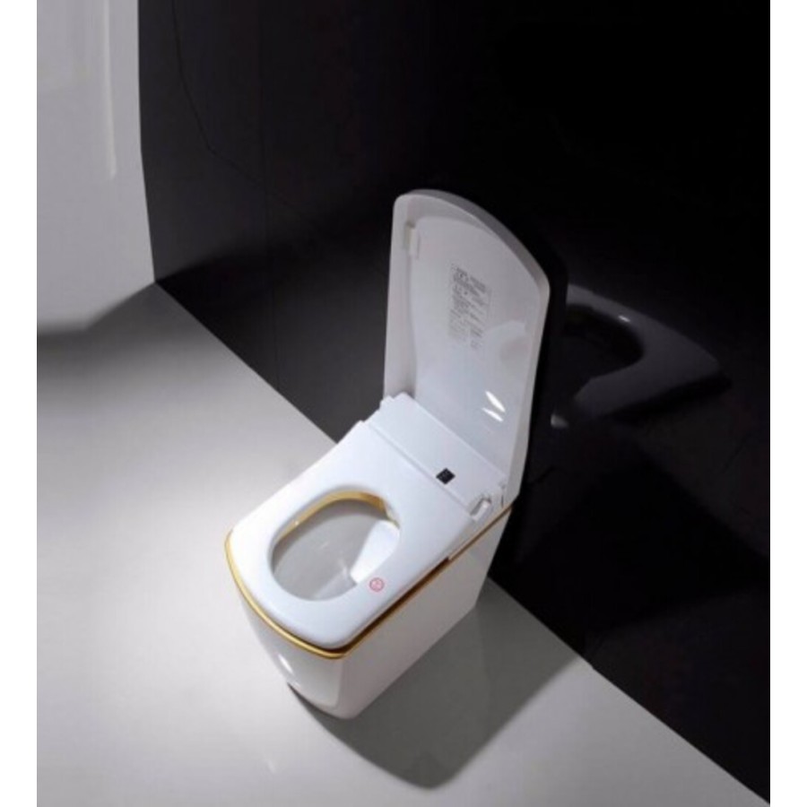 Wc japonés con cubierta dorada Wc japonés con cubierta dorada