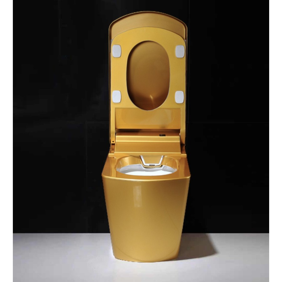 Japanese toilet - S350 (No Tank)