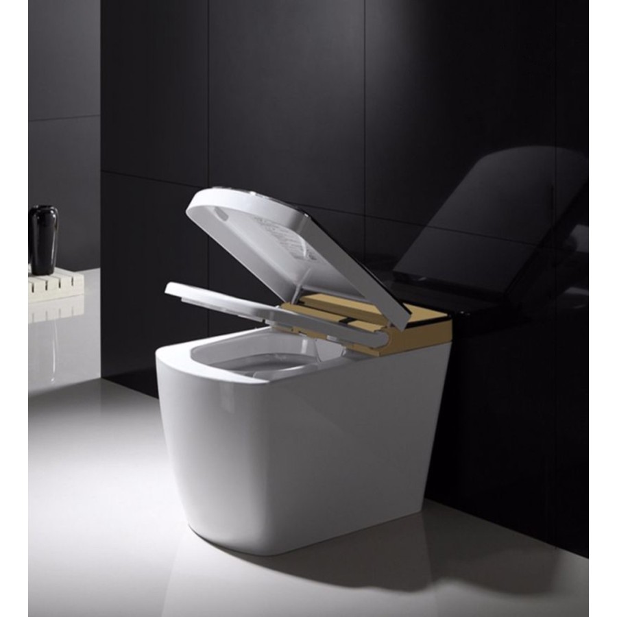 VOGO SL610 - Wc japonês com plataforma de ouro