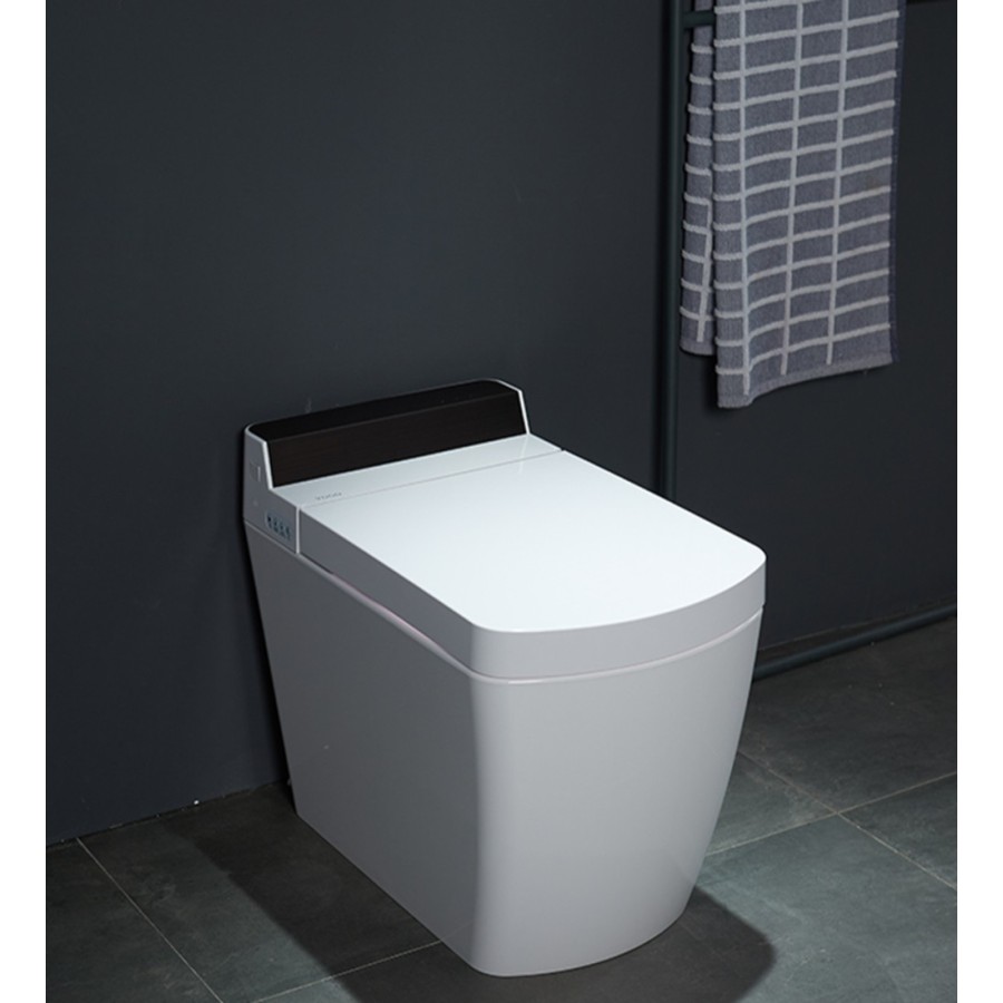 Japanese toilet - SL660 (No Tank)