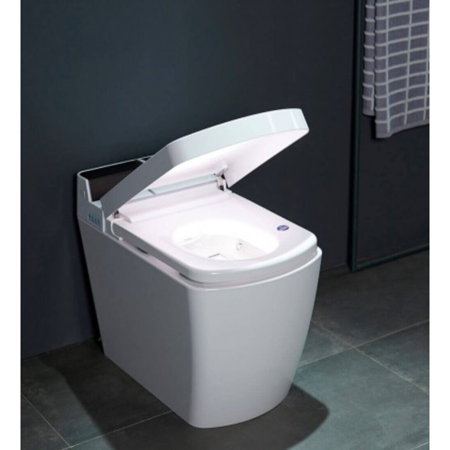 Japanese toilet - SL660 (No Tank)