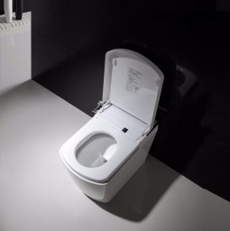 Japanese toilet VOGO SL620