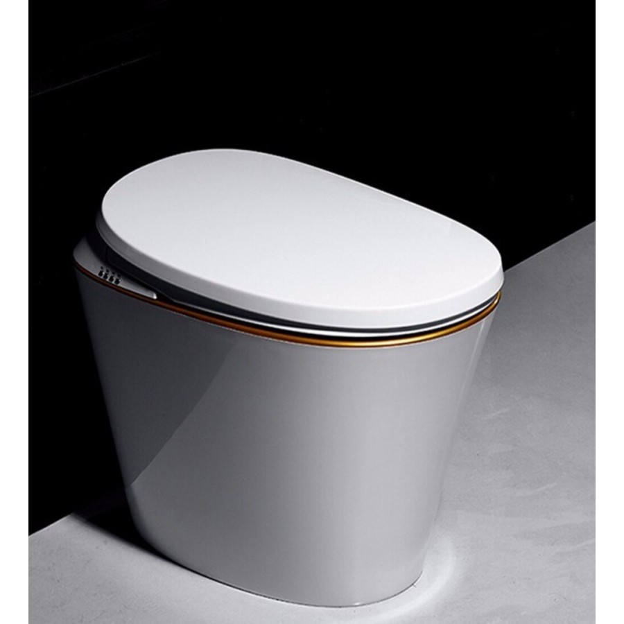 Toilettes japonaises - R570 (No Tank)