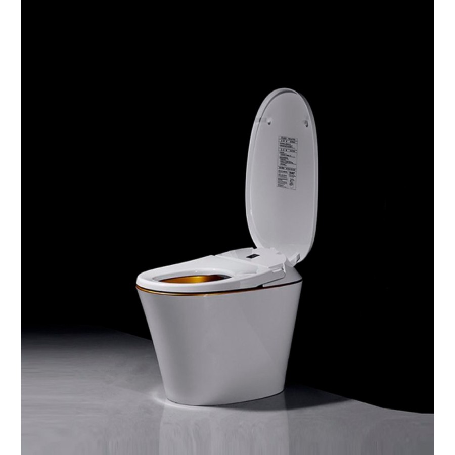 Toilettes japonaises - R570 (No Tank)