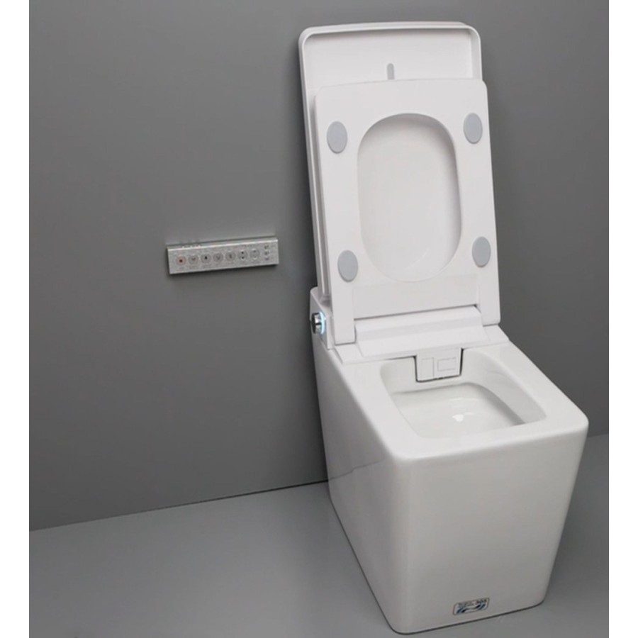 Intelligent toilet - A220 (With Tank)