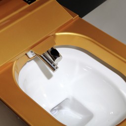WC DORADO - baño dorado