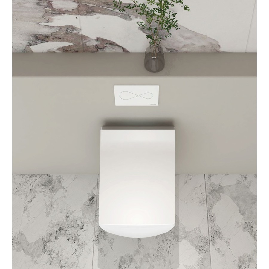 copy of W230 Toilet suspended with rack - Silver button