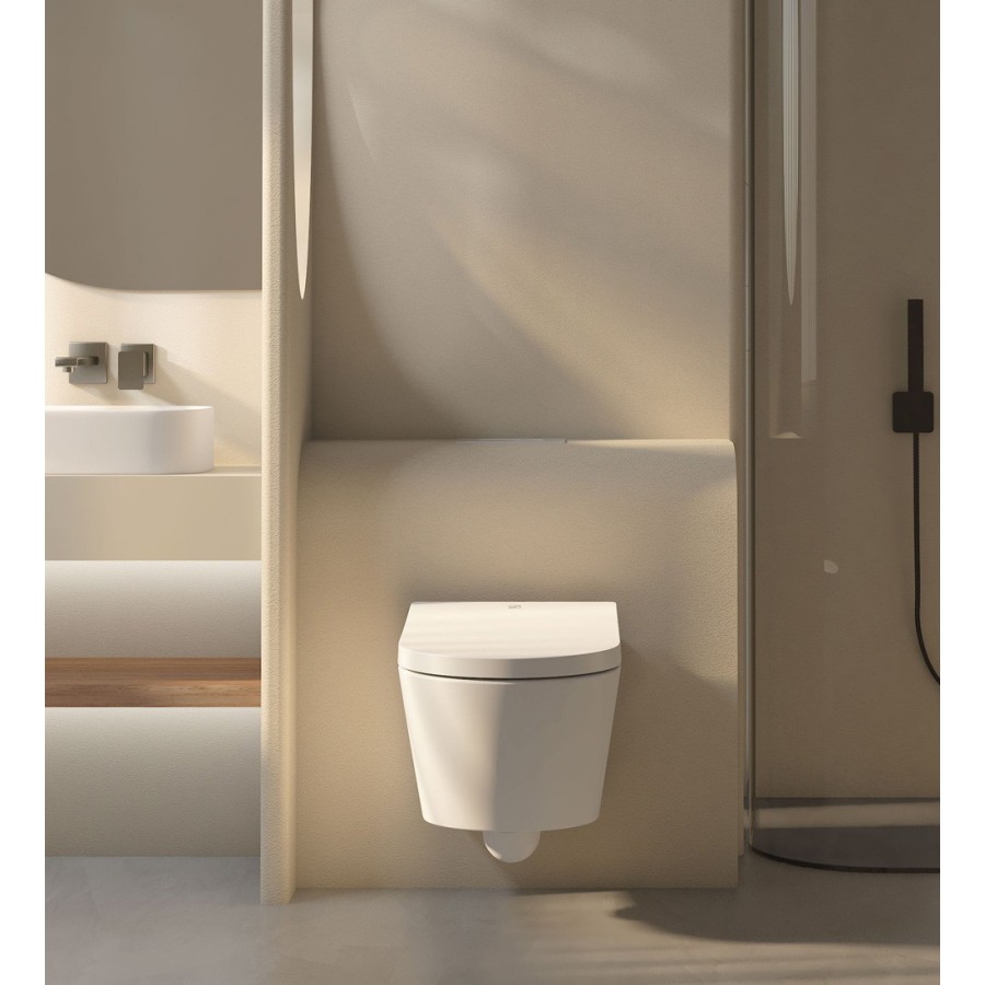 copie de copie de copie de W230 Toilette suspendue avec rack - Bouton argent