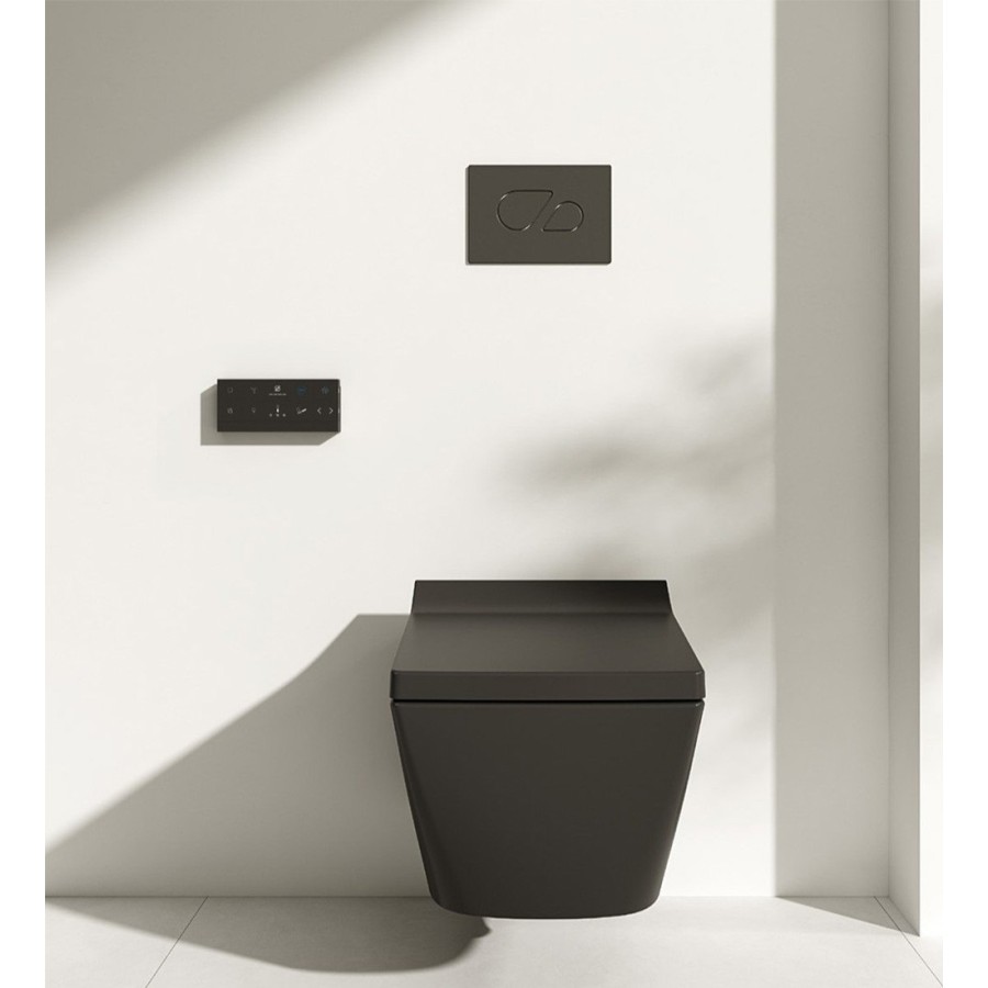 W260  Black rectangular wall hung toilet