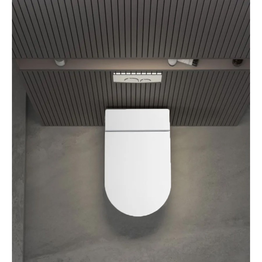 W220 White wall hung toilet with frame