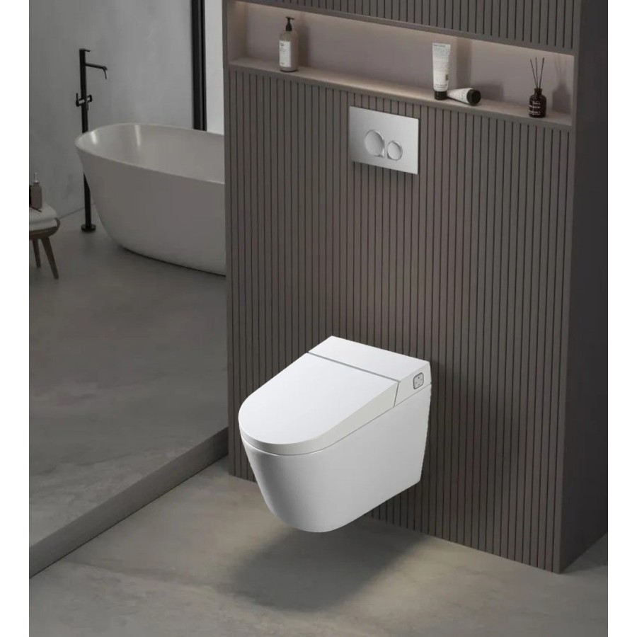 W220 White wall hung toilet with frame