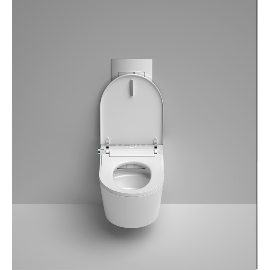 Intelligent Toilet - W295 oval wall hung toilet