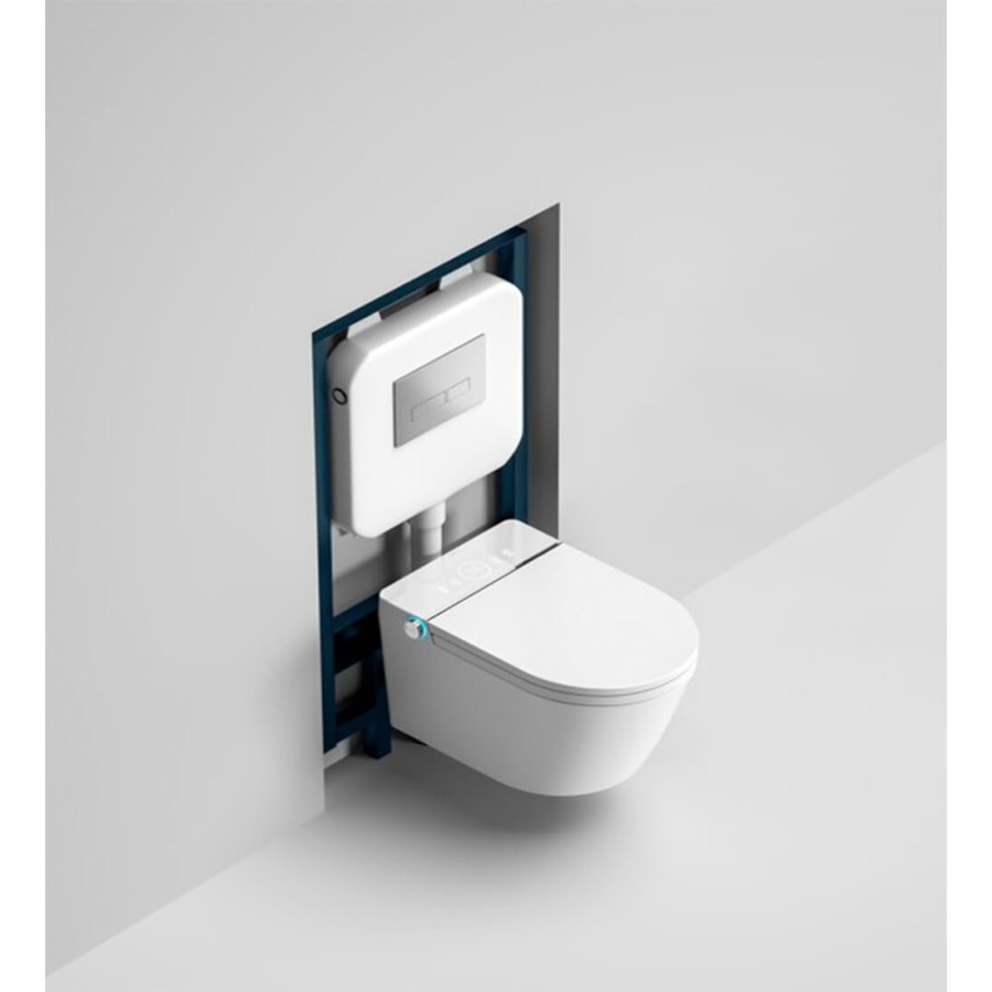 Intelligent Toilet - W295 oval wall hung toilet