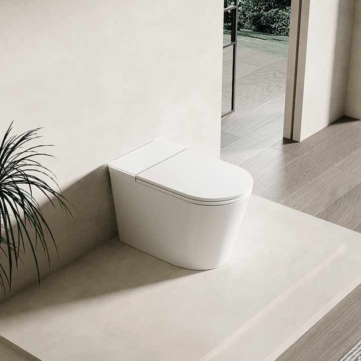 wc japones S016