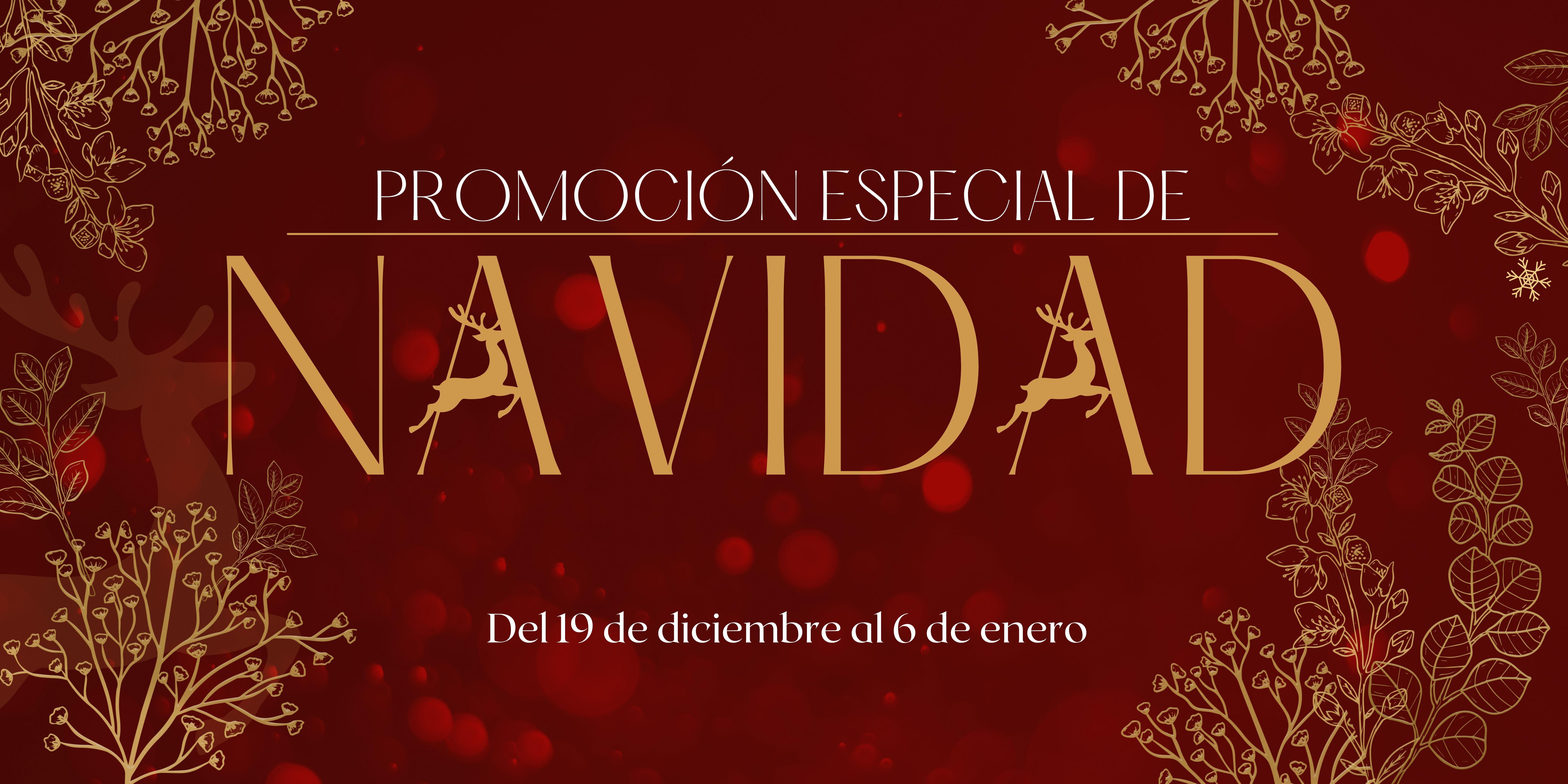 CAMPAÑA NAVIDAD 2025