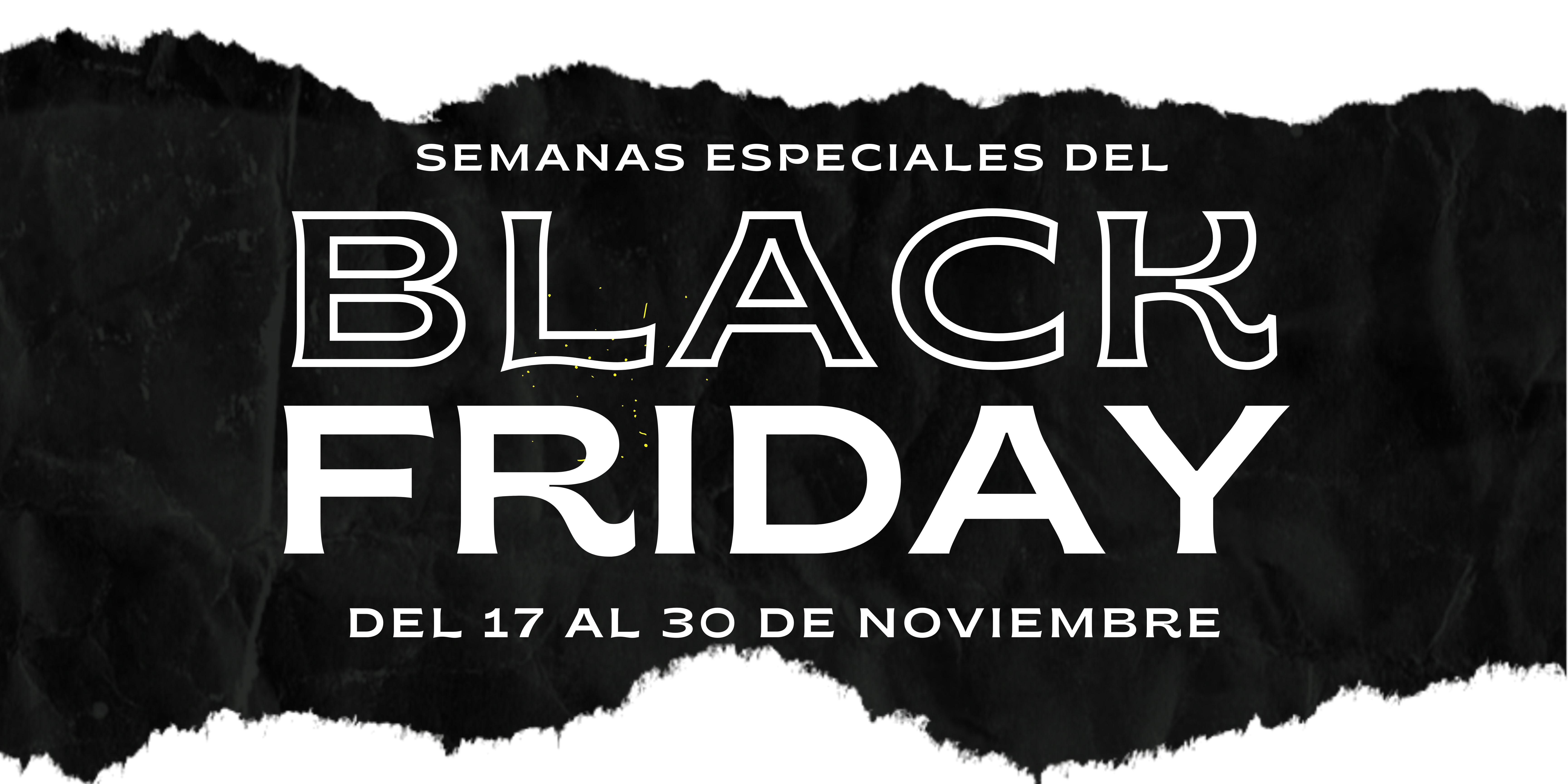 BLACK FRIDAY 2025